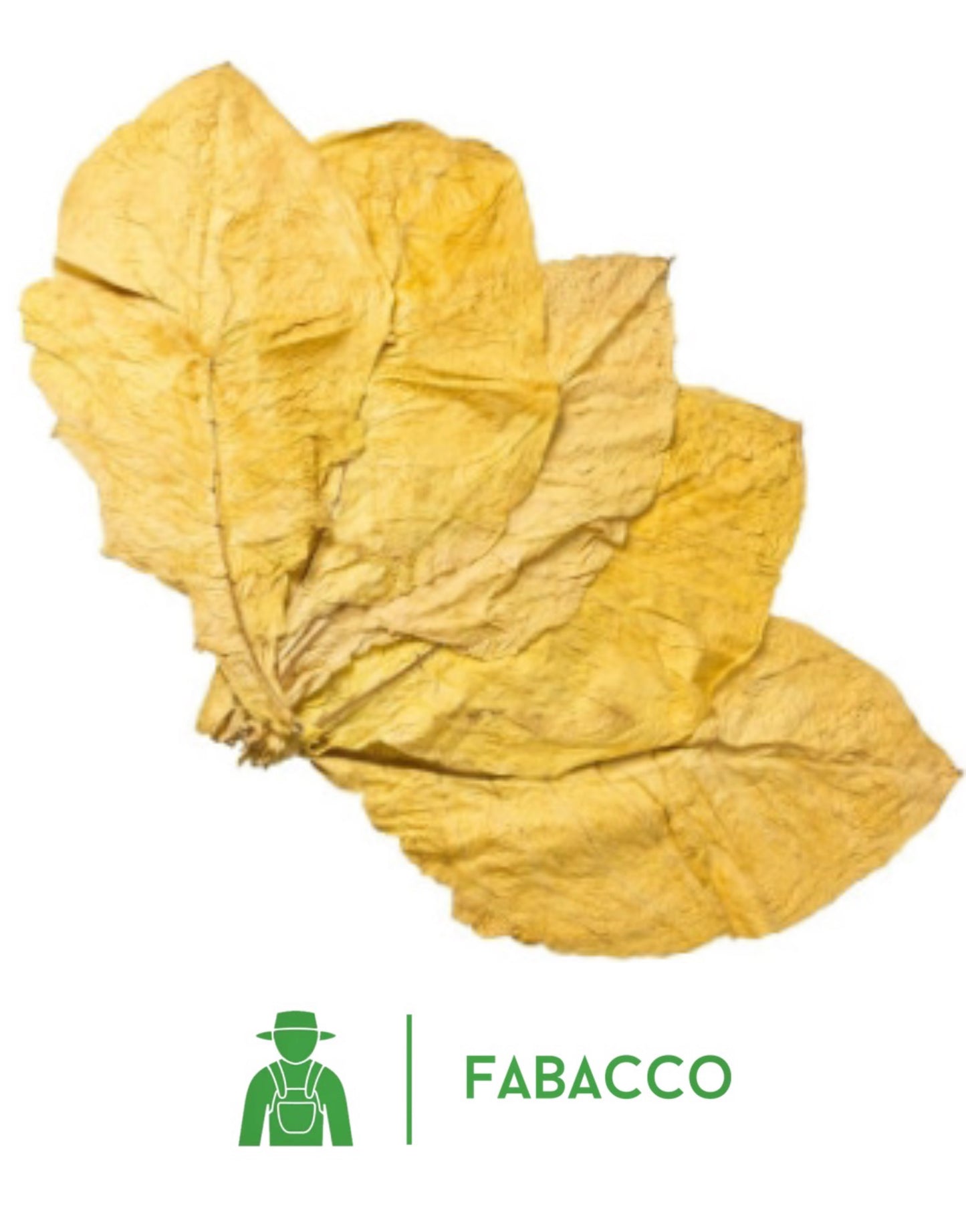 FEUILLES DE TABAC - Virginia Gold Premium