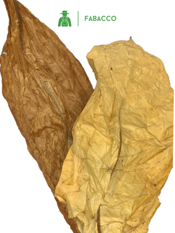 FEUILLES DE TABAC - Burley Ou Virginia Blond Ou 50/50 - 100% Sans Additifs- 200g à 5kg - Pensez à Séléctionner "Dosage du Melange"