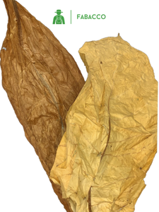 FEUILLES DE TABAC - Fabacco™ - GOLD Mélange (BLOND/BURLEY) - 120Gr à 2Kg - Sélection de la quantité ci-dessous :